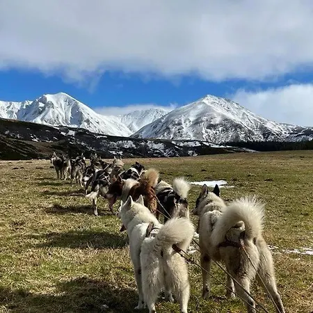 Gite Le Sancy * Chastreix